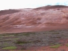 s1190026