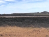 s1190028