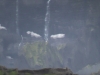 s1230019