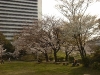 002-japan-shiba-park-2