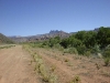 37-usa-zion-np-strasse