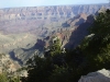 44-usa-grand-canyon-np-5